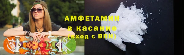 шишки Абаза