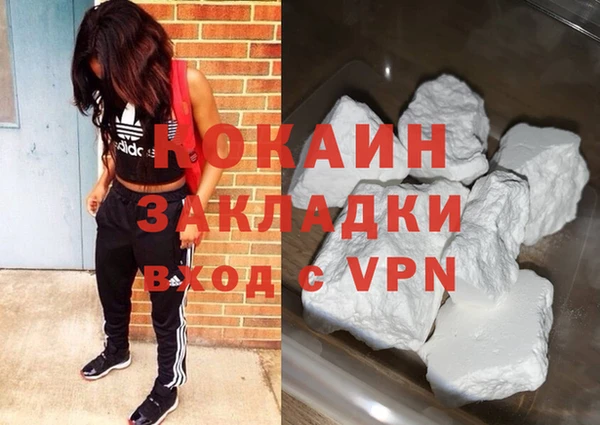 шишки Абаза