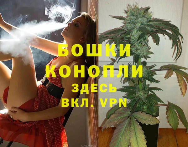 сатива Абдулино