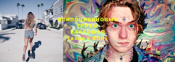 шишки Абаза