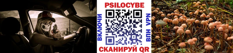 omg ТОР  Венёв  Псилоцибиновые грибы MAGIC MUSHROOMS 